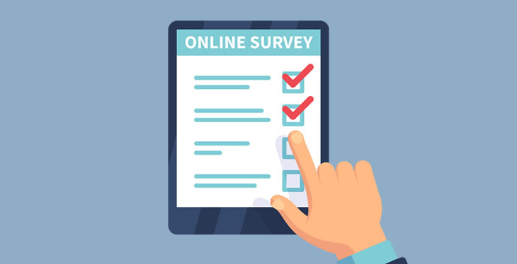 what is an online survey